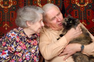 Married couple holding a cat